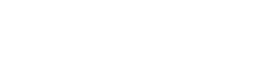Potensic